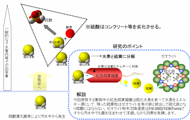 中 発生 硫化 水素
